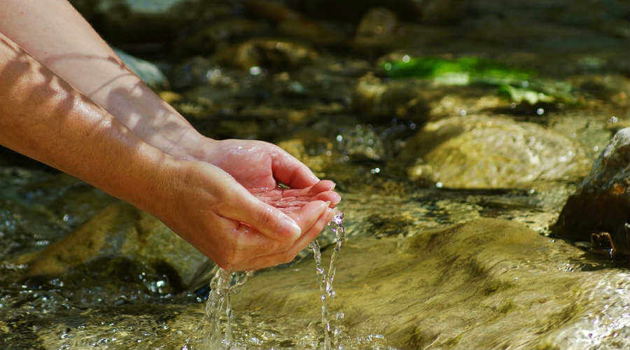 Energy Detox And How To Work With It