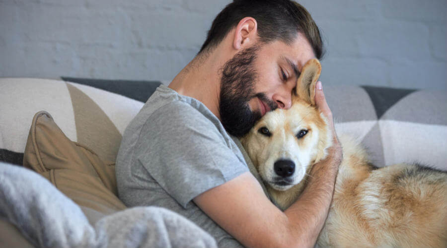 The Brachial Chakra And Bonding With Your Pet