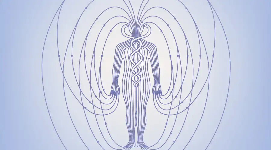 Why Do We Have An Aura?