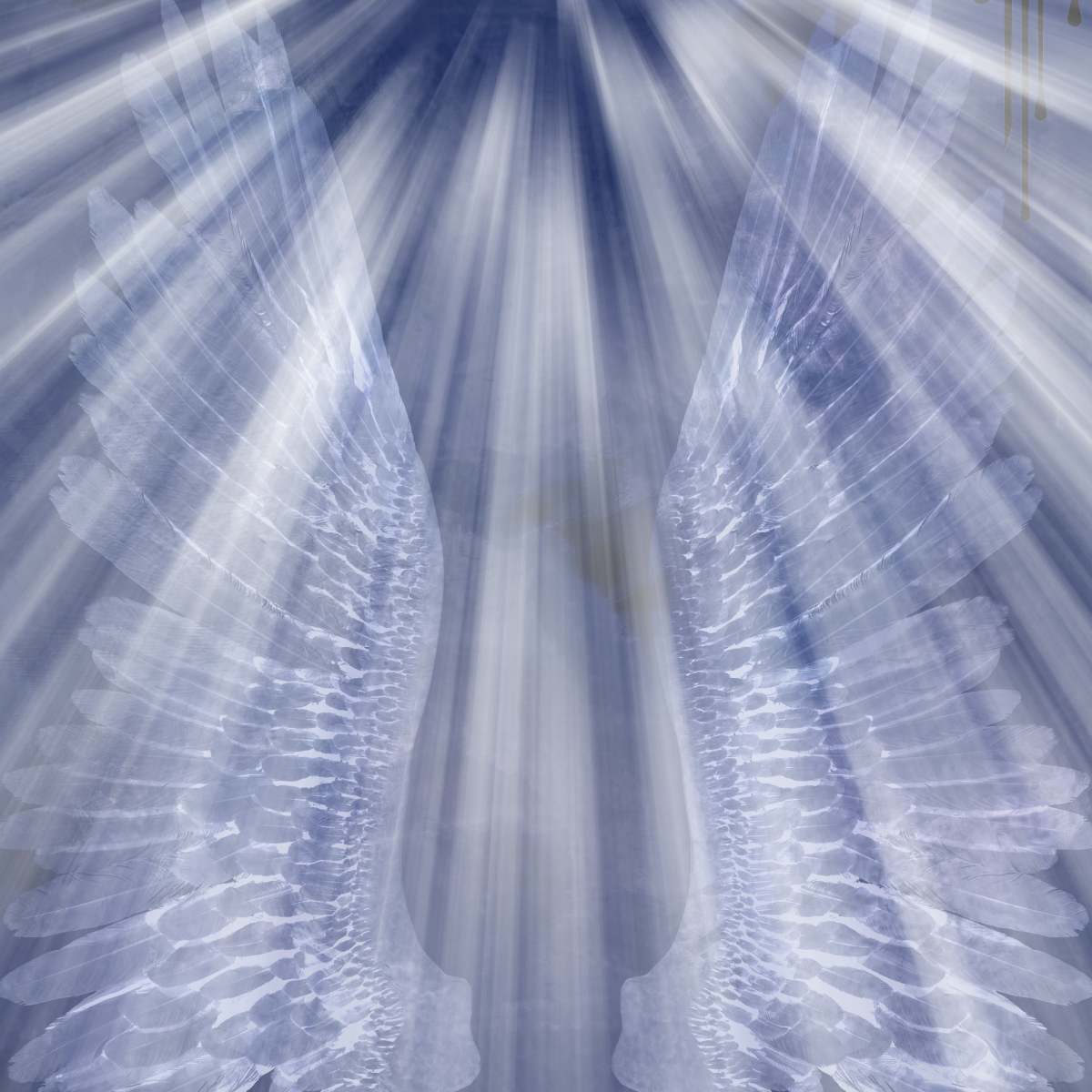 A ray of light background with two large, translucent, white angel wings.