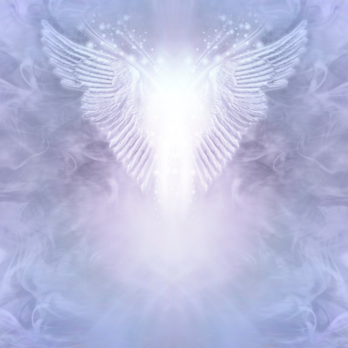 Close-up of a white feather angel wings against a soft, blurred lilac background.