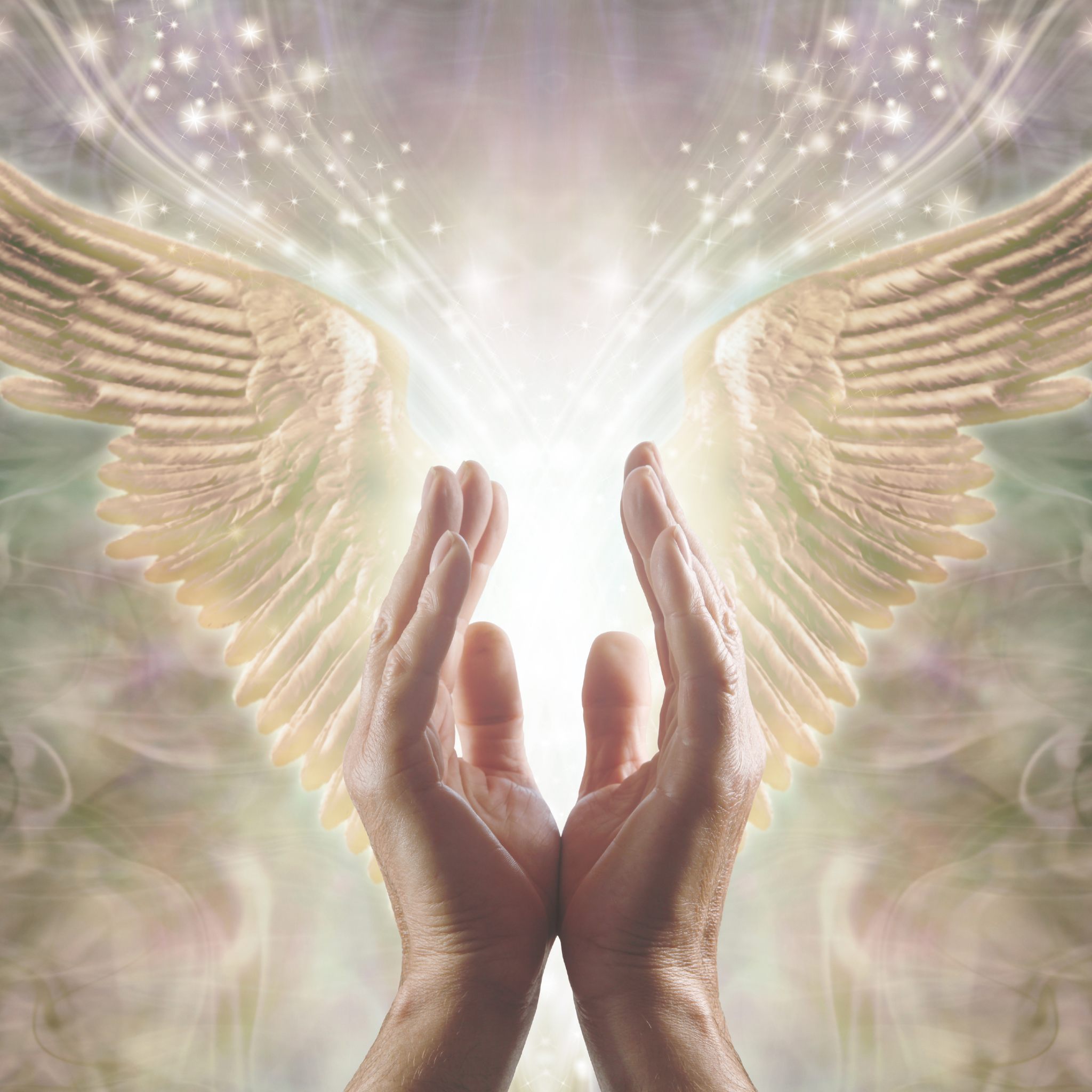 Hands reaching towards angel wings with a soft, blurred light source background.