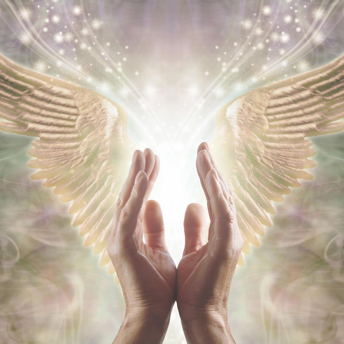 Hands reaching towards angel wings with a soft, blurred light source background.