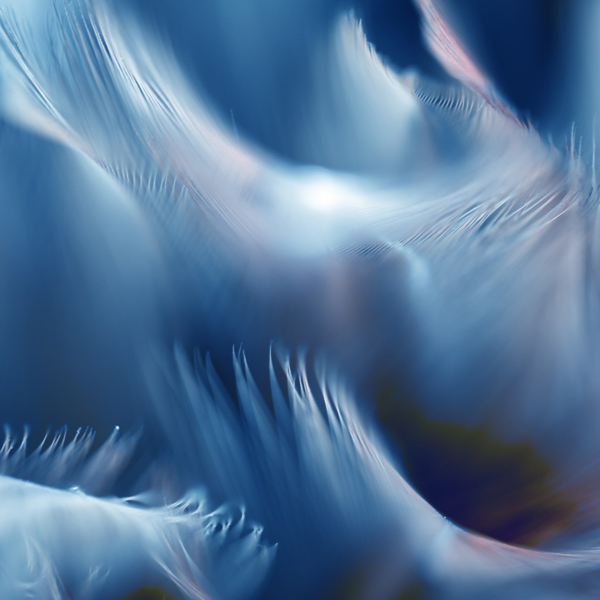 Abstract, ethereal close-up of soft, flowing, white and pale blue feathers, suggesting Archangel Michaels wings or divine energy.