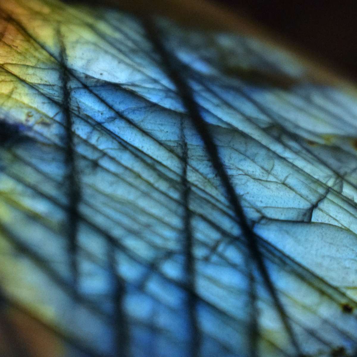 Close-up of a labradorite crystal with an intricate butterfly wing pattern and blue colours.