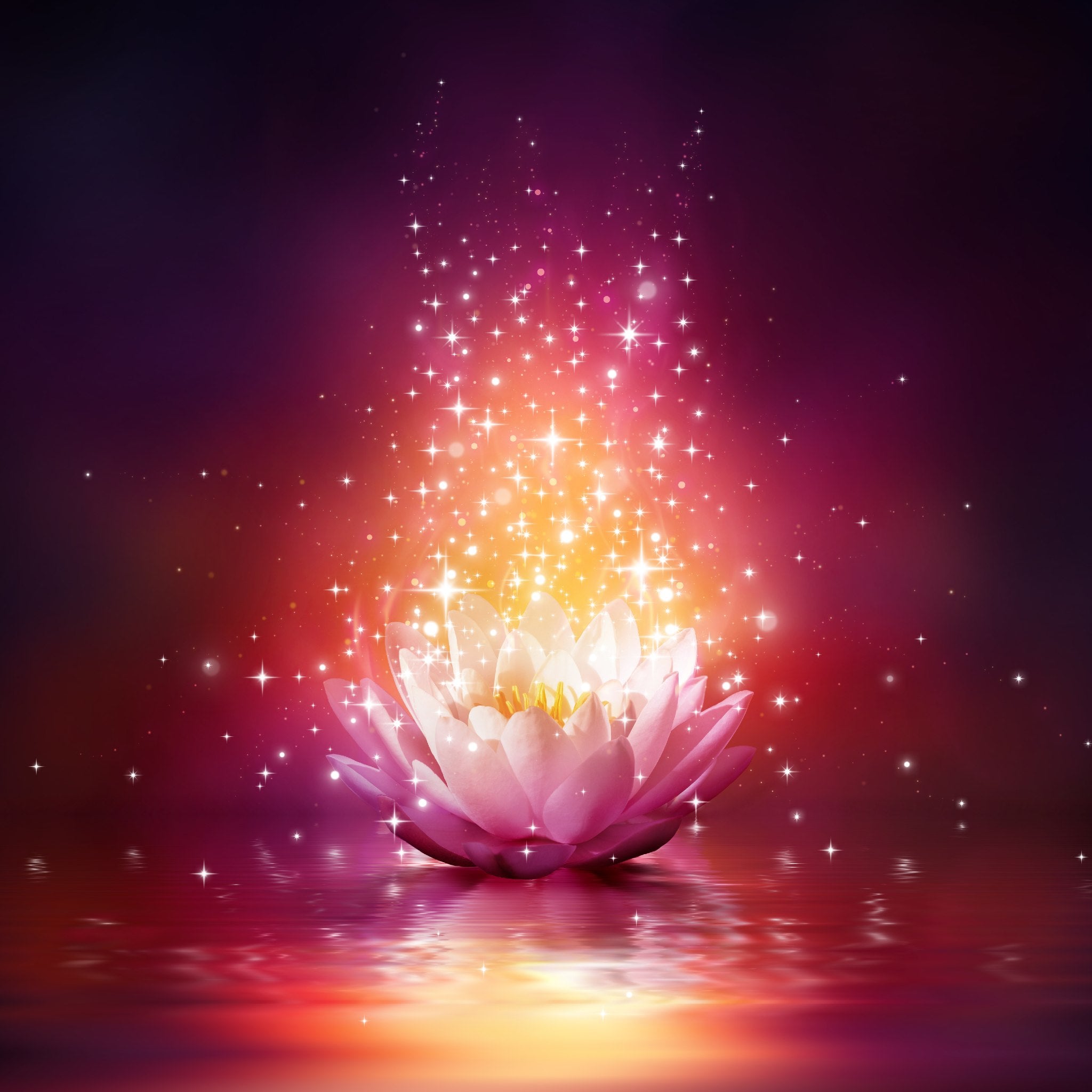 A glowing, light pink and white lotus flower floats on dark water, emitting a brilliant plume of sparkling golden and white light and stars, set against a dark, warm-toned background.
