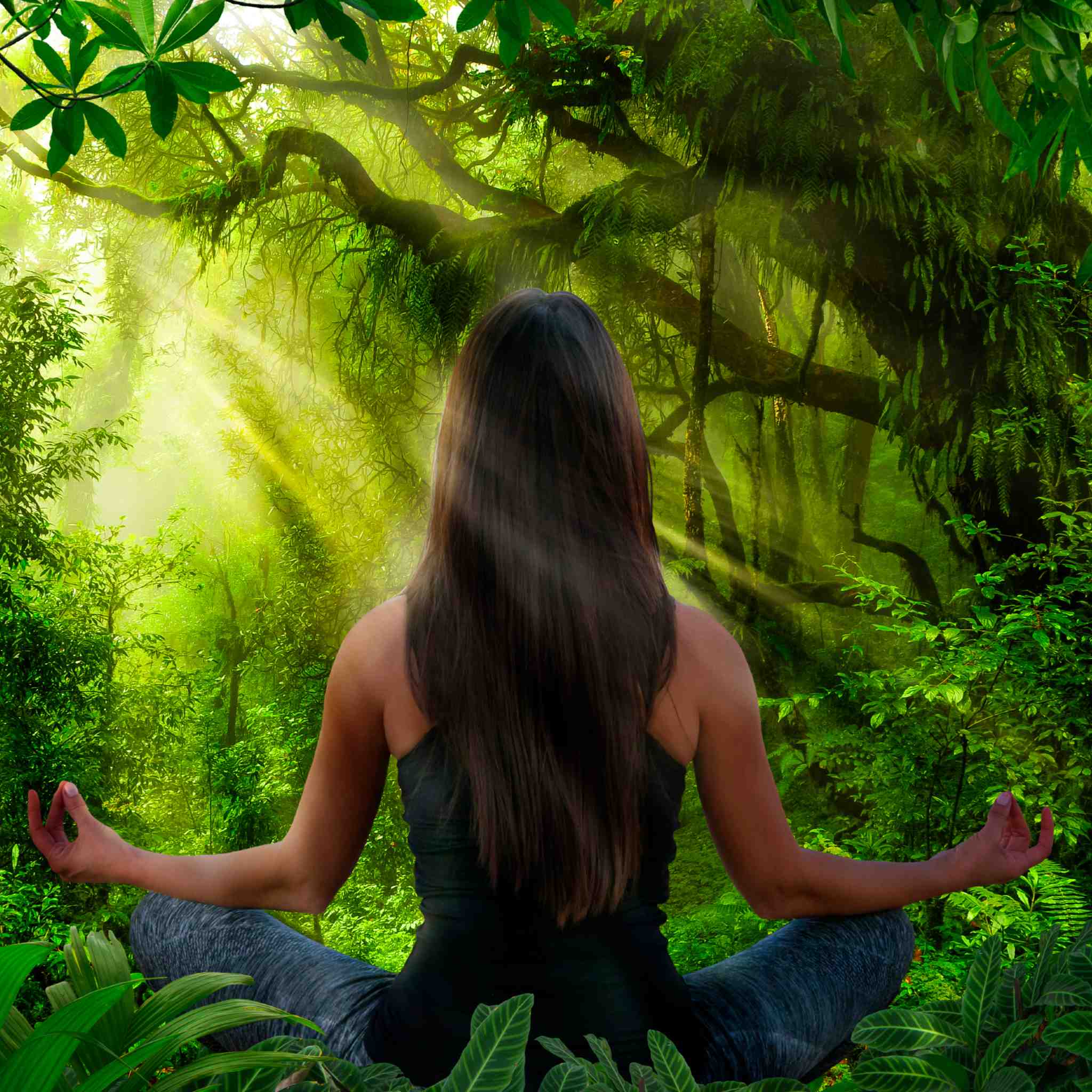 A woman meditating in a vibrant green jungle, facing away from the camera, with bright sunlight shining through the trees, representing dynamic nature beings connections.