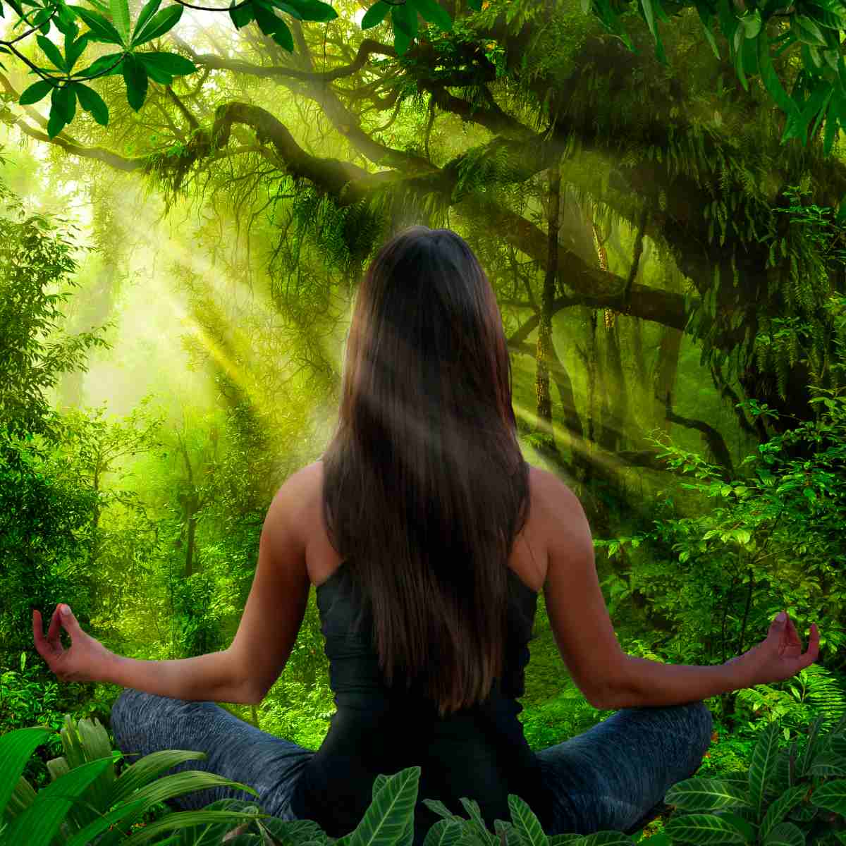 Woman meditating in a lush green forest representing nature beings connections.