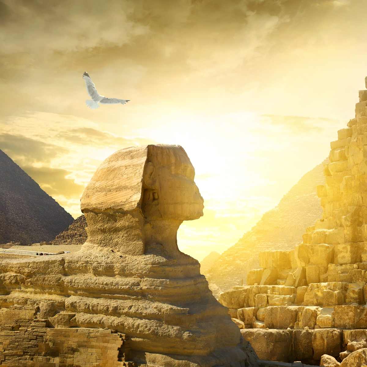 The Sphinx and a pyramid in the background, bathed in golden sunset light, representing sphinx connections.