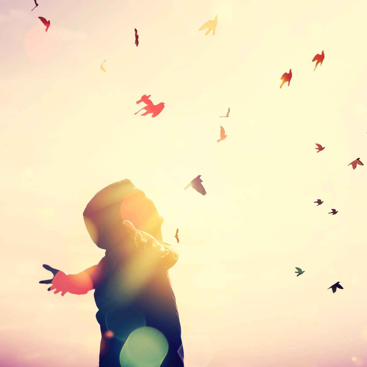 A person standing with arms stretched out faces the sun with birds flying against a light pink sky.