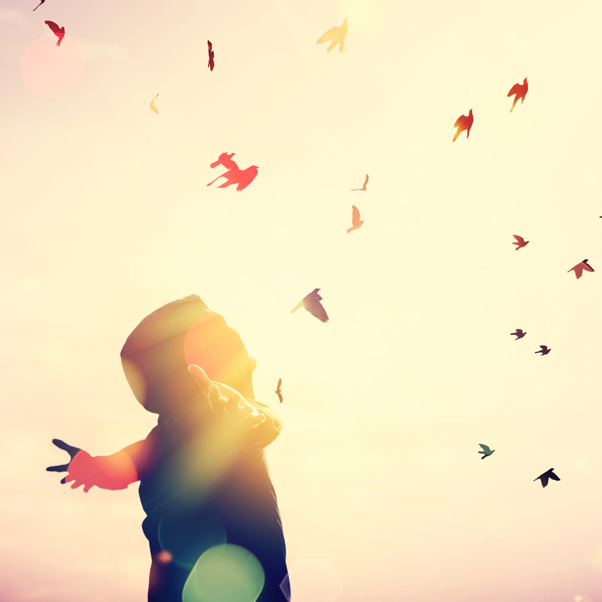 A person standing with arms stretched out faces the sun with birds flying against a light pink sky.