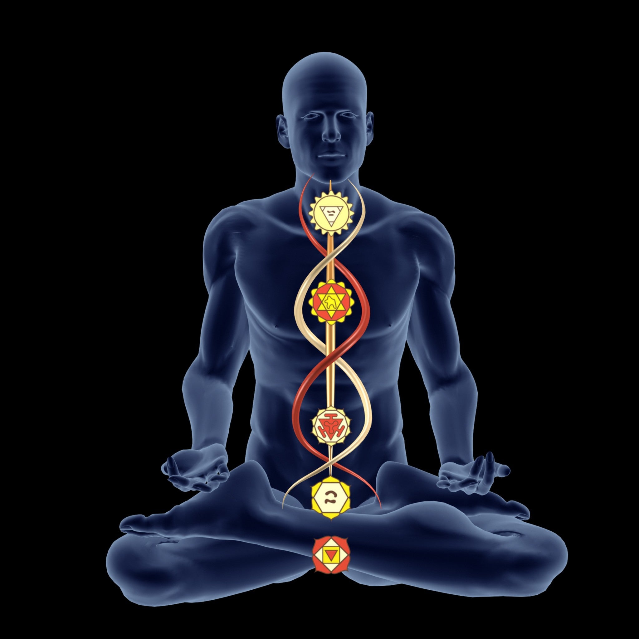 A digital illustration of a translucent blue male figure sitting in a lotus position, with the central column showing a kundalini energy flow entwined around chakras, which are depicted with traditional Hindu symbols, all against a black background.