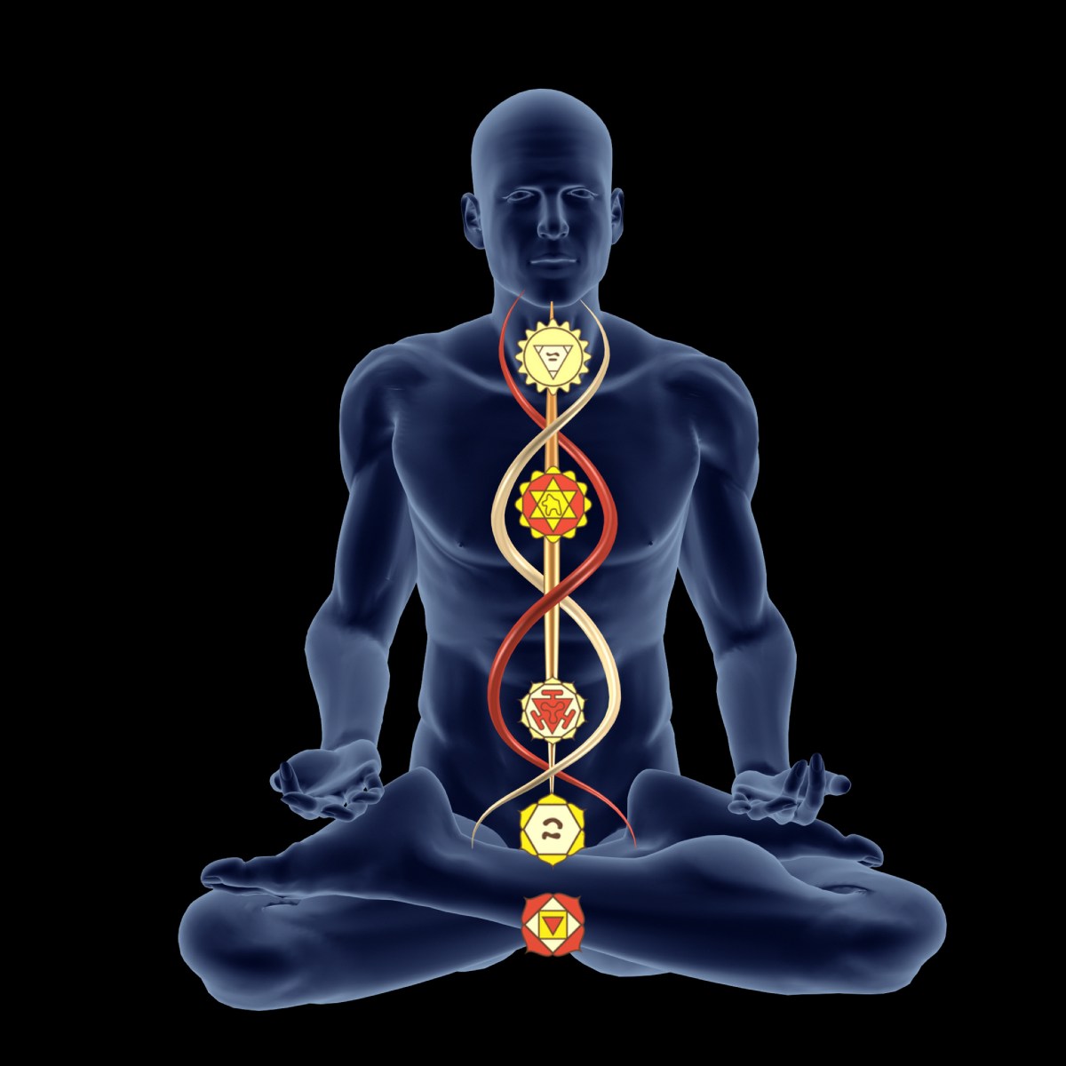 Diagram of a human figure with chakra symbols and kundalini light on a black background