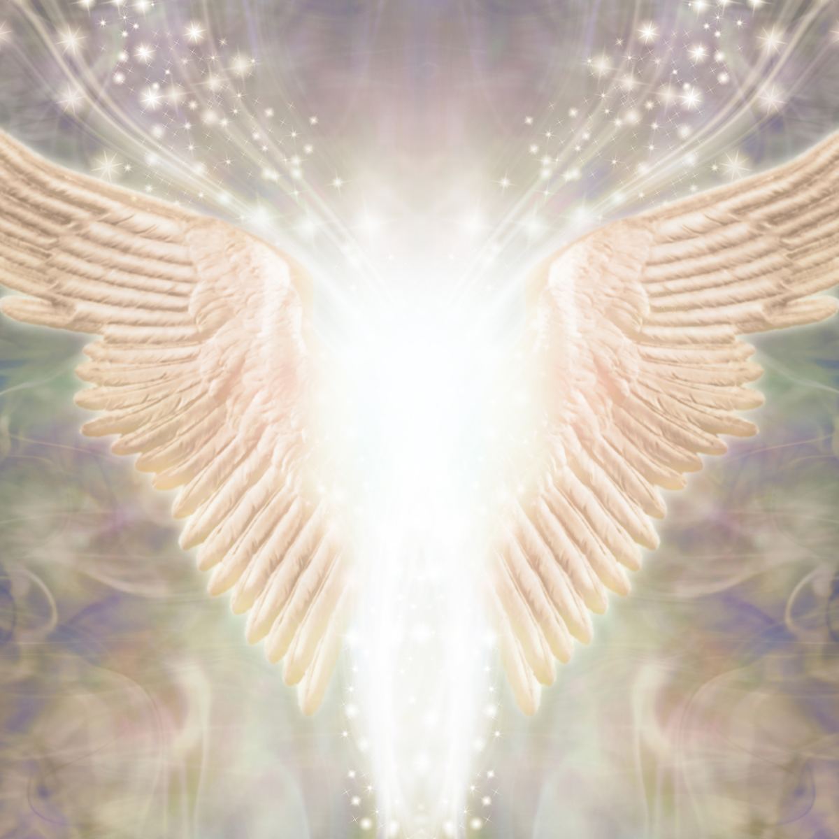 Gold and white angel wings with a soft, blurred background.
