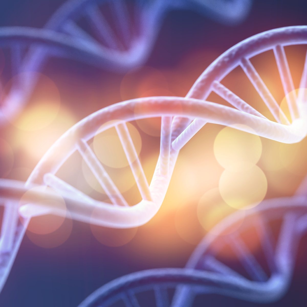 A glowing, translucent DNA double helix structure floating over a soft-focus background of warm bokeh lights.