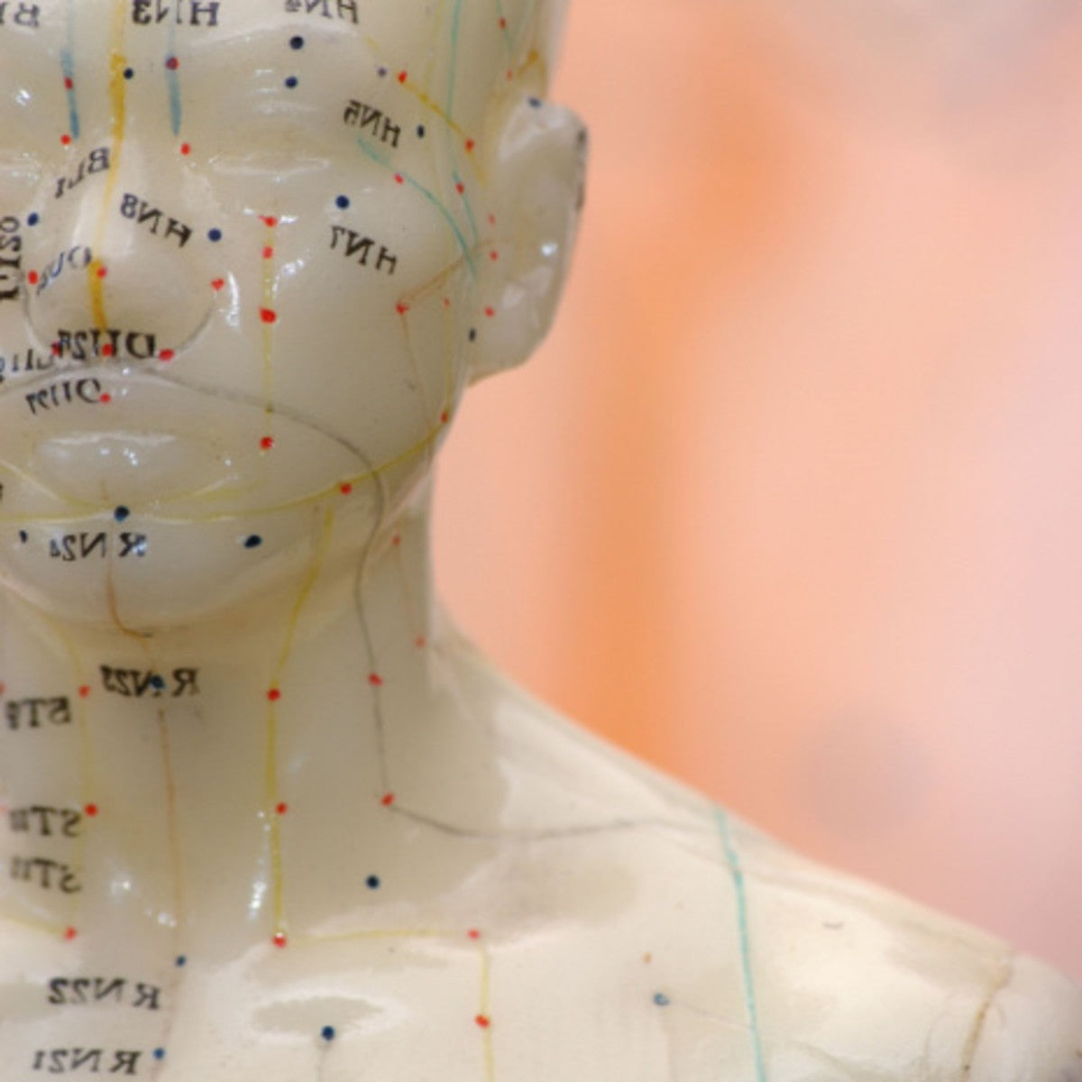 Acupuncture model with labelled points and meridians on a blurred background.