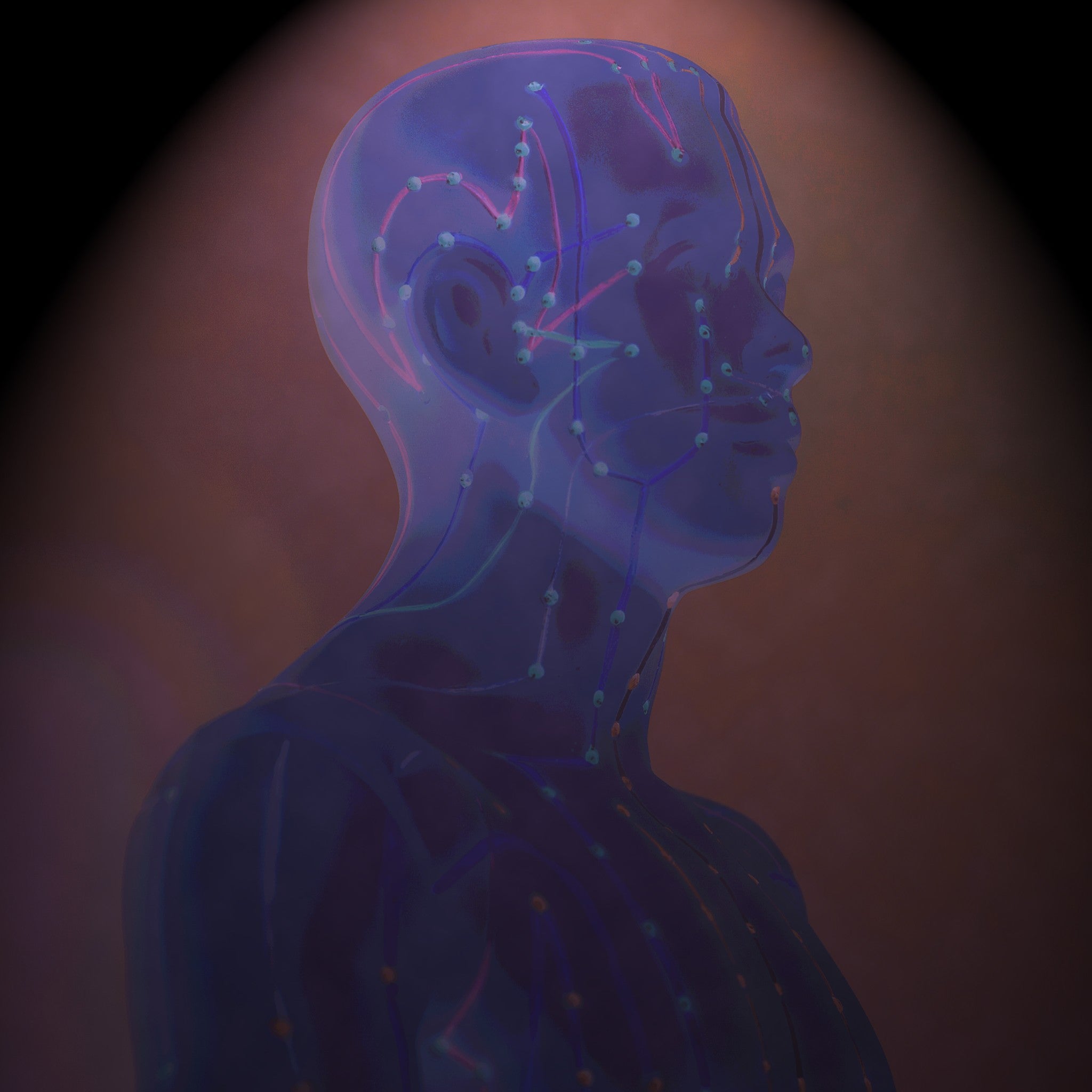 A translucent blue human mannequin head and upper body, showing glowing meridian and acupuncture lines, representing third eye meridian enhancement.