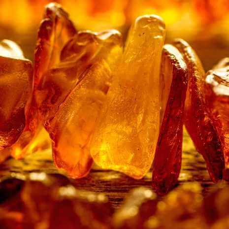 Dynamic Amber Connections Maintenance Attunement