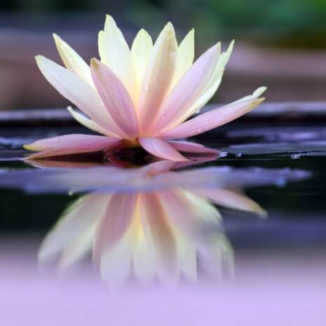Dynamic Gayatri Mantra Connections Maintenance Attunement
