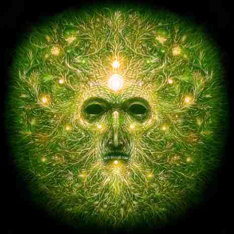 Dynamic Green Man Connections Maintenance Attunement
