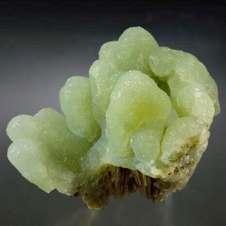 Dynamic Prehnite Connections Maintenance Attunement