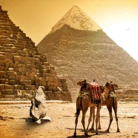 Dynamic Pyramid Connections Maintenance Attunement