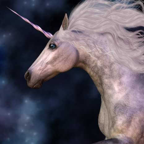 Dynamic Unicorn Connections Maintenance Attunement