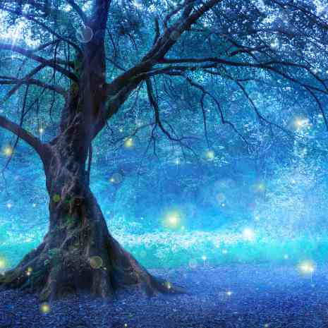Water Fairy Magic Connection Maintenance Attunement