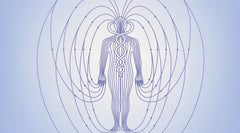 Why Do We Have An Aura?