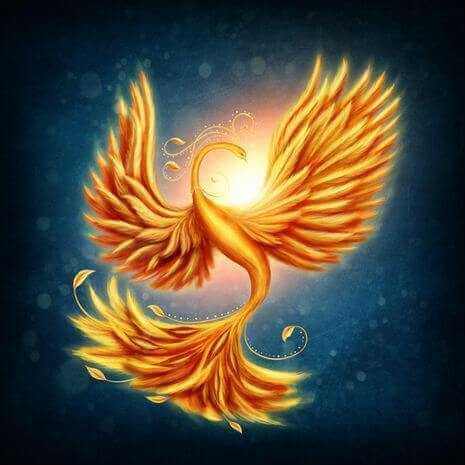 Phoenix Attunements