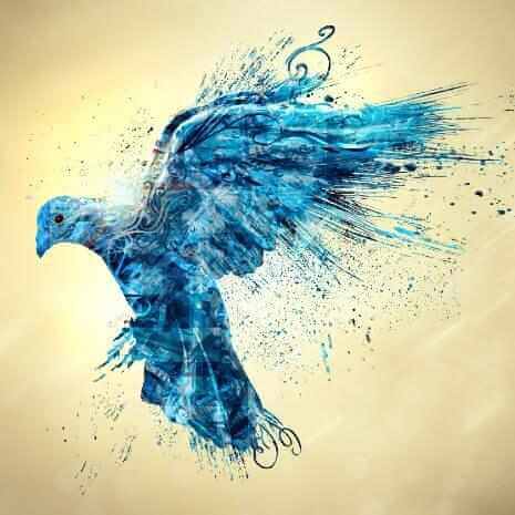Spirit Guides Attunements