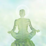 A meditating silhouette double-exposed with a green pattern, representing the 4444 angel number manifestation.