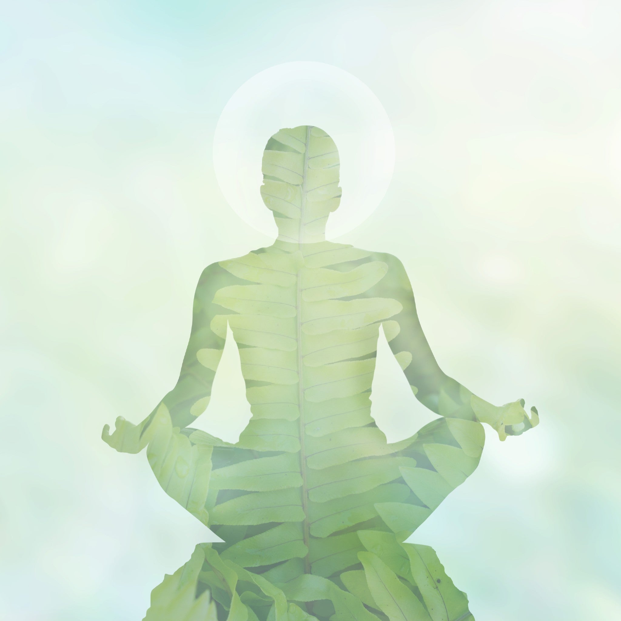 A meditating silhouette double-exposed with a green pattern, representing the 4444 angel number manifestation.