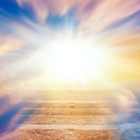 Ultimate Life Path 999 Spiritual Integration Treatment