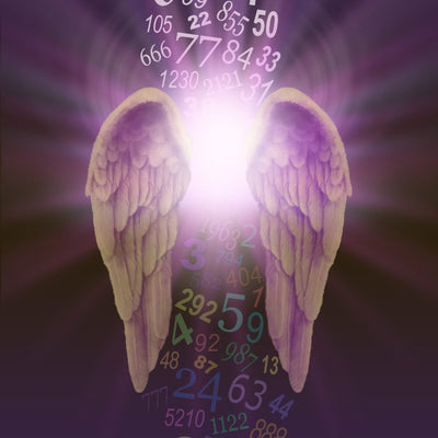 A pair of golden angel wings with coloured numbers, representing angel numbers.