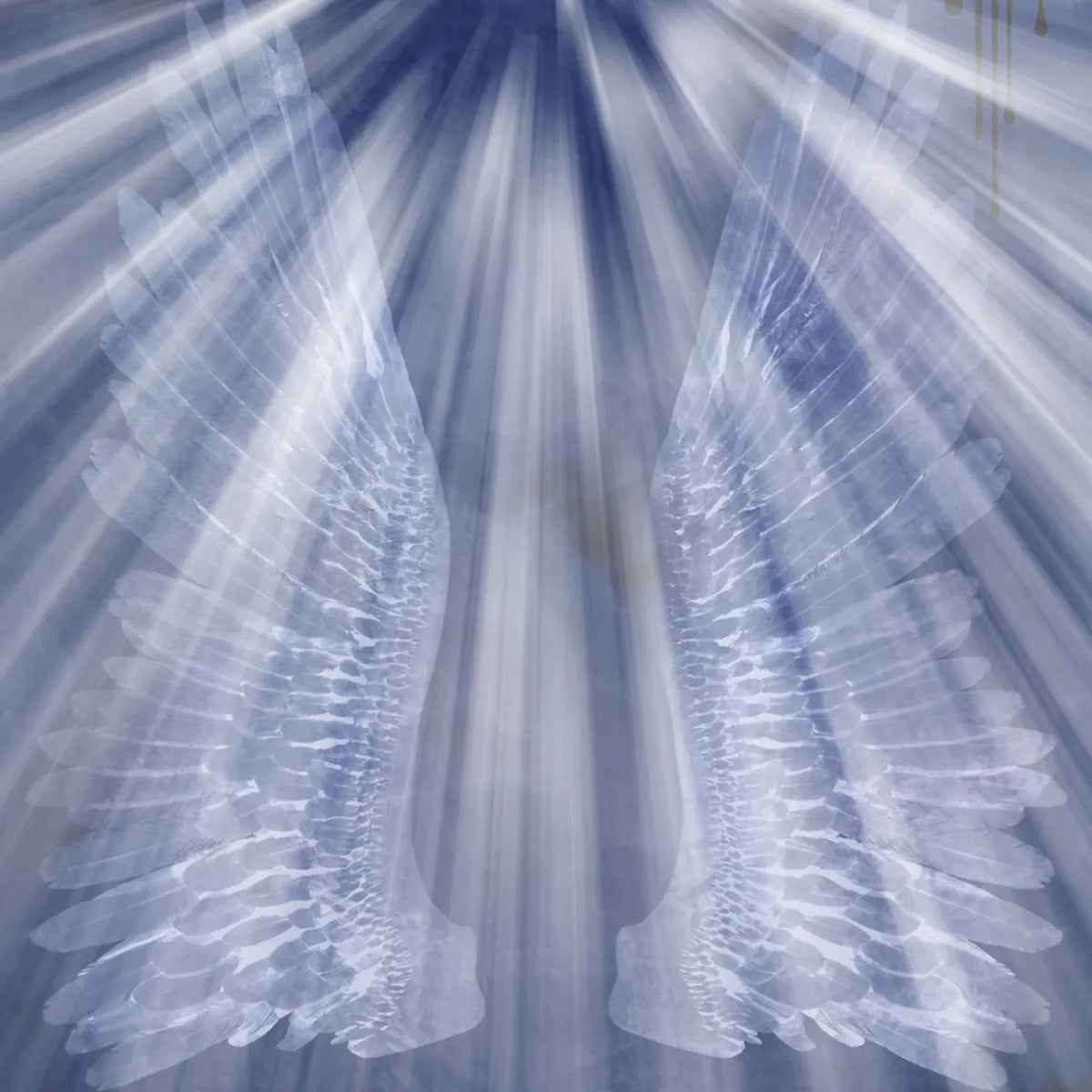 Image of luminous angel wings bathed in radiant light, representing our comprehensive 46 Angel Attunement Package, the largest collection we offer.