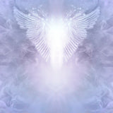 Close-up of a white feather angel wings against a soft, blurred lilac background.