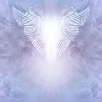 Close-up of a white feather angel wings against a soft, blurred lilac background.