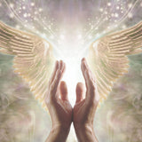 Hands reaching towards angel wings with a soft, blurred light source background.
