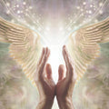 Hands reaching towards angel wings with a soft, blurred light source background.