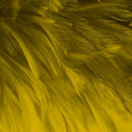 Layers of feathers in a deep, rich ochre or mustard-yellow colour associated with the Archangel Muriel.