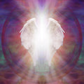 White angelic wings glowing against a colourful background, suggesting Archangel Zadkiel.