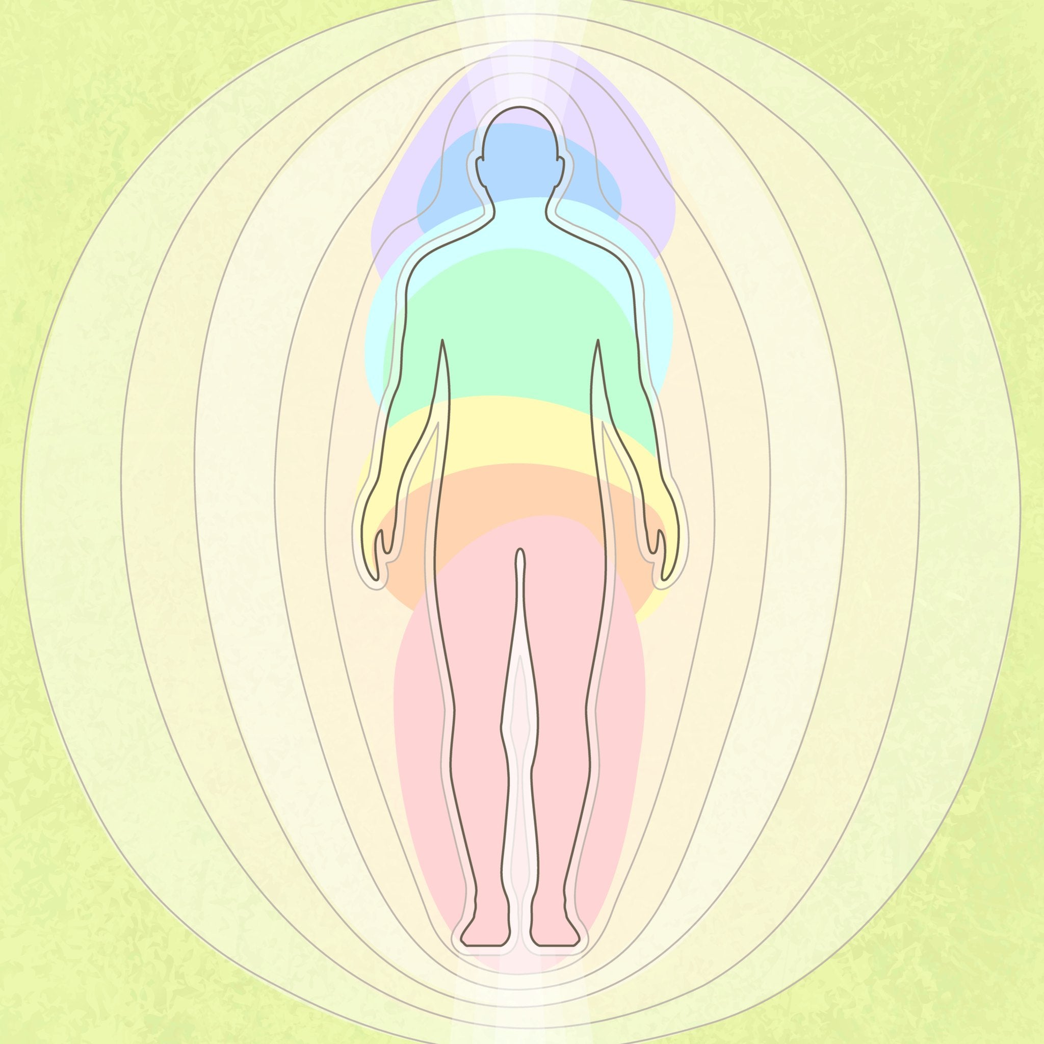 A simple, stylised diagram showing the outline of a standing human figure, filled with coloured bands representing the chakras and surrounded by concentric, oval rings of light-green energy, visually illustrating the energetic field of the aura.