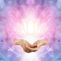 Spiritual gift: Hands holding a glowing lotus, symbolising healing and light for distant attunements and energy healing treatments.
