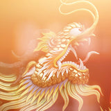High vibration gold dragon illustration on a warm gradient background.
