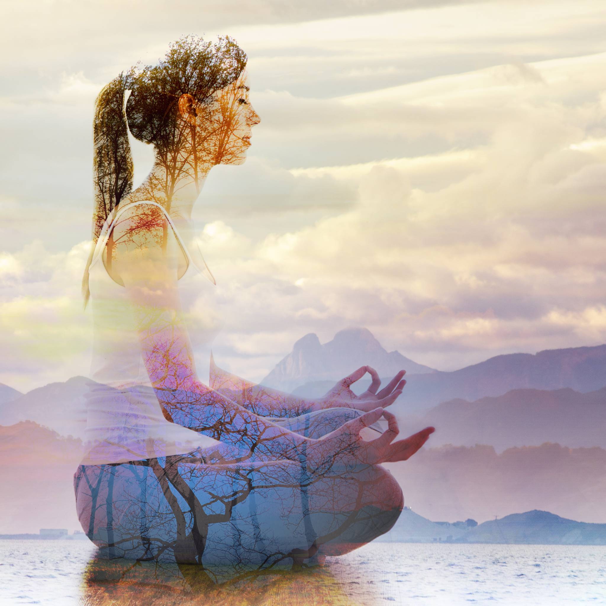 A double-exposure image of a person meditating in a scenic landscape, fused with bare tree branches, representing dream manifestation empowerment.