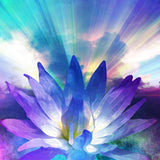 Colourful abstract cosmic lotus flower shape against a vibrant background.
