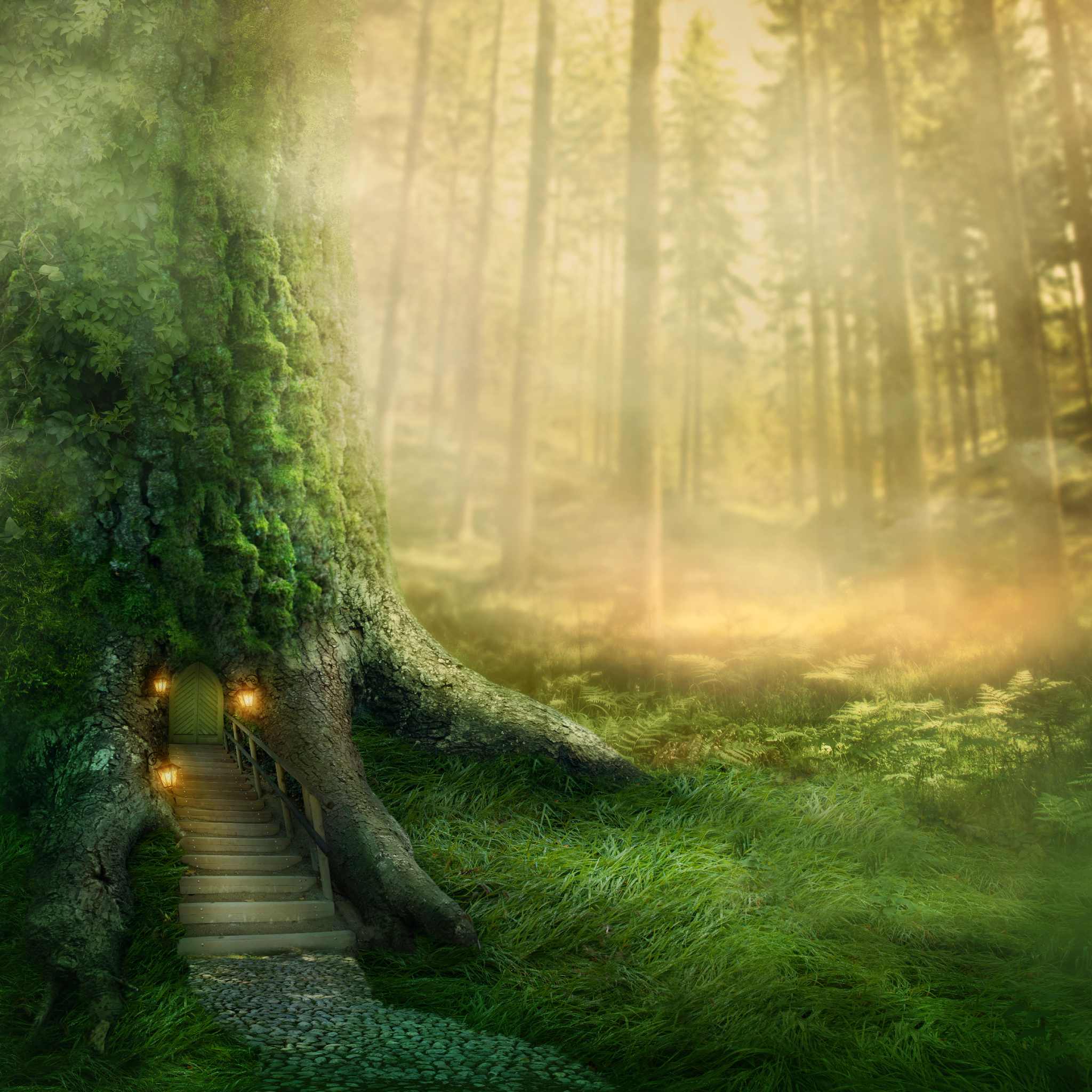 A magical forest scene with a large, moss-covered tree in the foreground. At the base of the tree is a small, curved wooden staircase leading up to a tiny, glowing door, all set against a soft, sunlit, and misty background of tall pine trees.