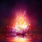 A glowing, light pink and white lotus flower floats on dark water, set against a dark, warm-toned background.