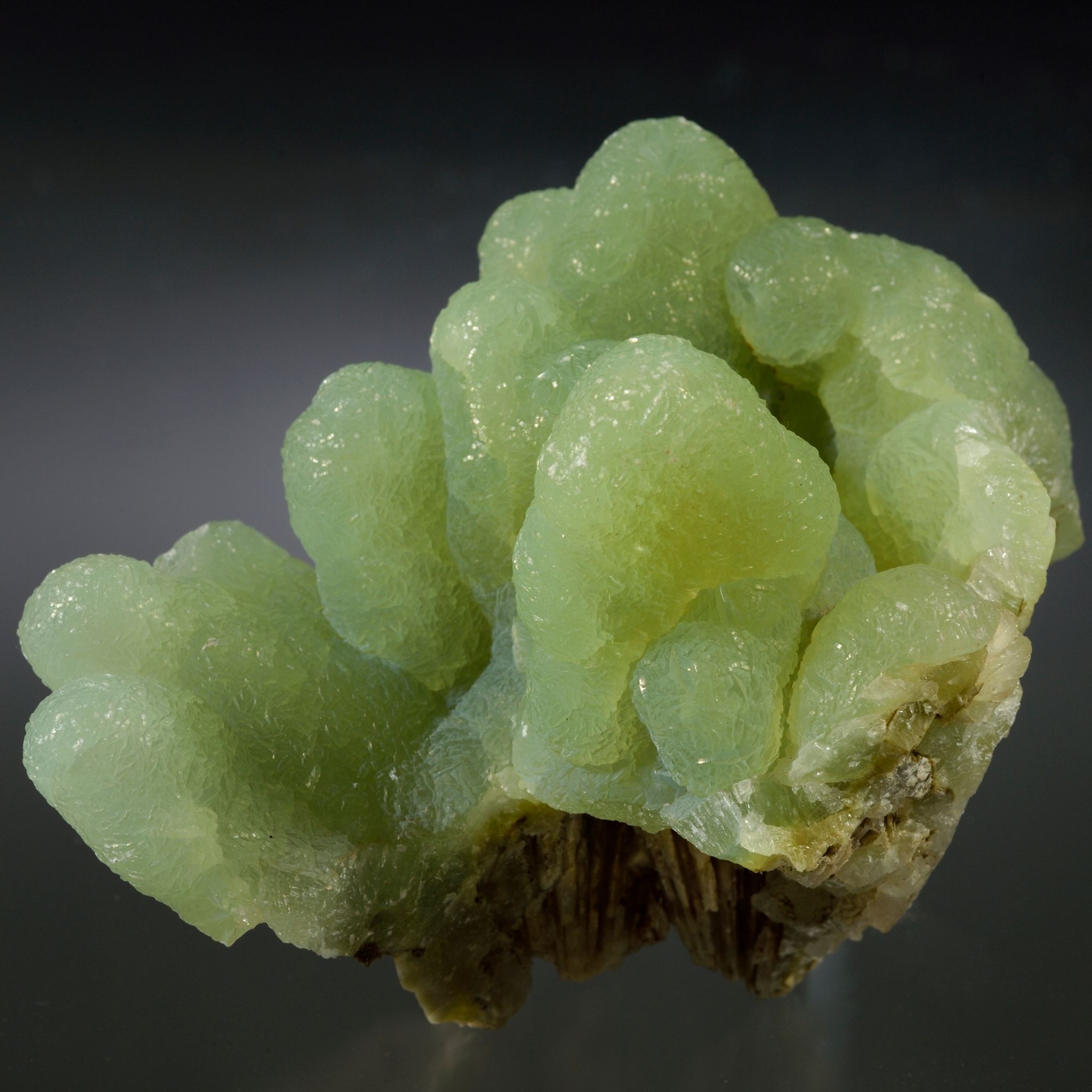 Close-up of a green Prehnite crystal cluster on a dark background.